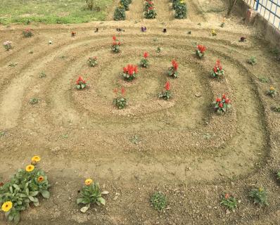 Garden Spiral Pattern